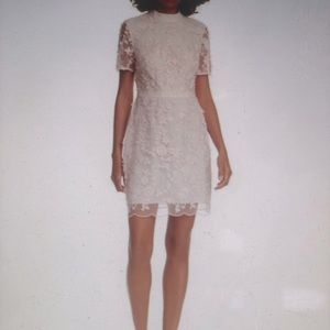 Ted Baker London Pink Appliqué Dress